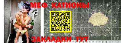 стафф Кингисепп