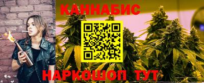 стафф Кингисепп