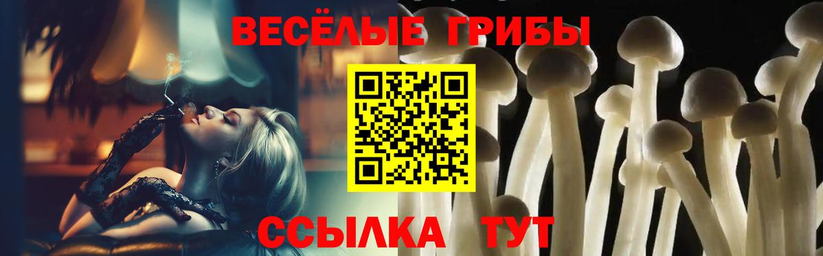 Галлюциногенные грибы Psilocybine cubensis  Вход с VPN  Курчатов 